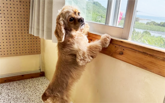 企業理念｜一般社団法人SMILE